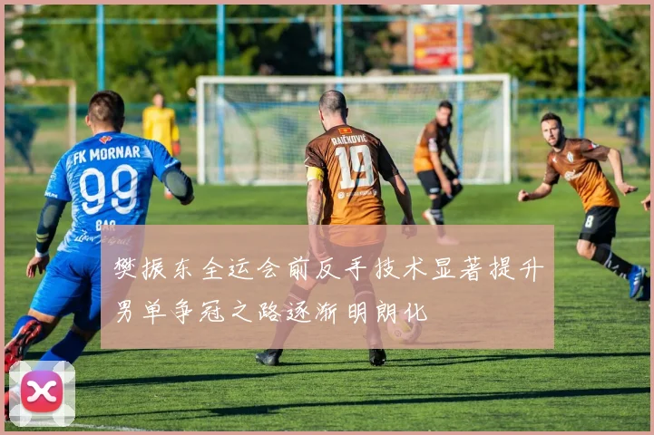 樊振东全运会前反手技术显著提升男单争冠之路逐渐明朗化
